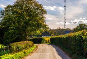 Country Lane image